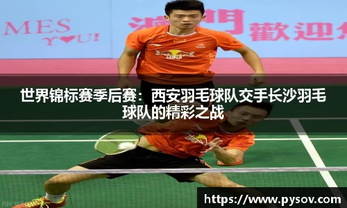 世界锦标赛季后赛：西安羽毛球队交手长沙羽毛球队的精彩之战